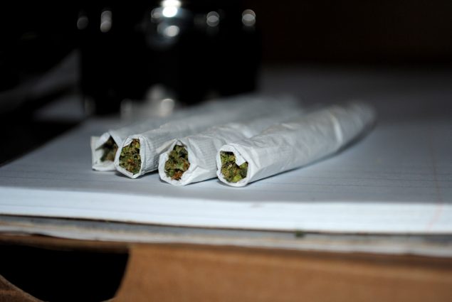 cannabis stock photography