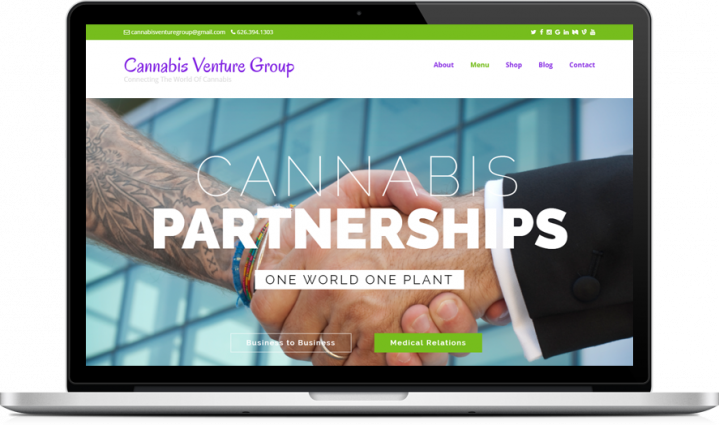Cannabis Venture Group - CannaBiz WordPress theme example