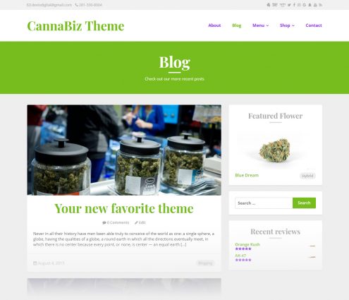 CannaBiz - Marijuana WordPress theme